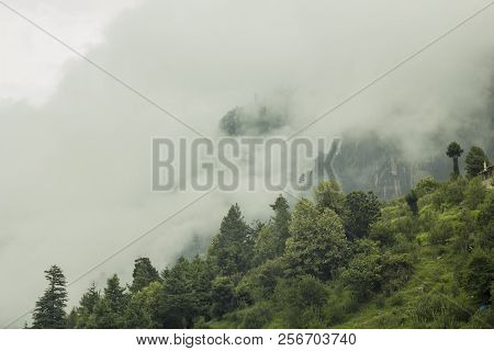 Fog In The Green Stone On The Hills