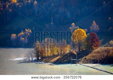 Eecological disaster: cyanide pollution at Geamana Lake near Rosia Montana, Romania