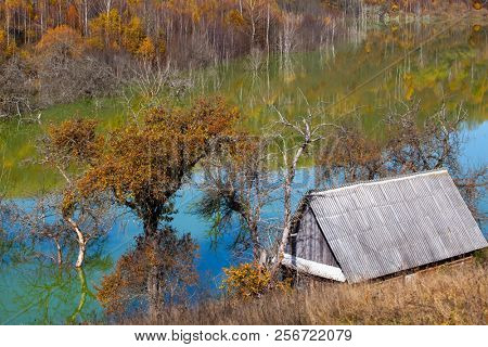 Eecological disaster: cyanide pollution at Geamana Lake near Rosia Montana, Romania