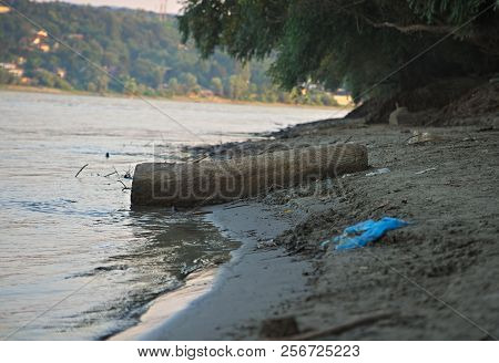 Tree Trunk Stranded On River Danube Shore