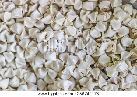 Close Shoot Of Turkish Raw Raviolis On The Fridge