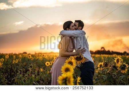 Romantic Couple on a Love Moment in a Sunflower field at Holambra, Sao Paulo, Brazil
