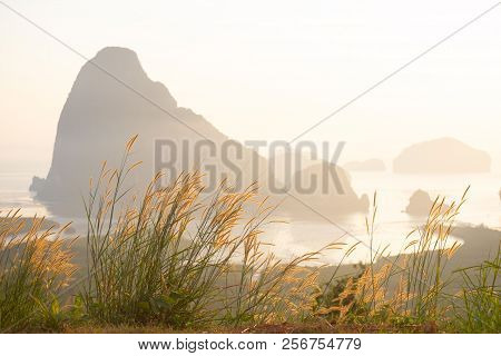 Mission Grasses And Morning Light At Samet-nang-she View Point, Phang-nga Province, Thailand