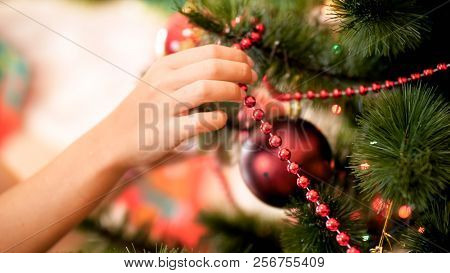 Closeup Photo Of Female Hand Putting Red Decorative Beads On Christmas Tree Branches