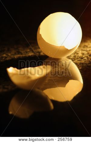 Egg1