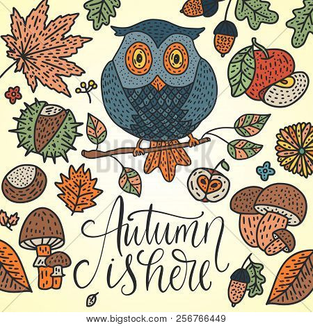 Cozy Fall Vector Illustration. Autumn Vector Lettering Card With Handdrawn Quote - Autumn Is Here An
