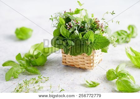 Assorted herbs in small wicker basket. Basket full of fresh summer herbs.