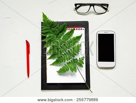 Busines Flat Lay Of Office Stuff On White Table. Notebook, Pencil. Glasses, Laptop, Fern