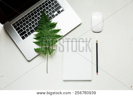 Busines Flat Lay Of Office Stuff On White Table. Notebook, Pencil. Glasses, Laptop, Fern