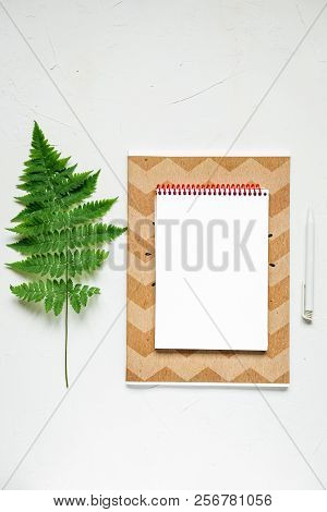 Busines Flat Lay Of Office Stuff On White Table. Notebook, Pencil. Glasses, Laptop, Fern