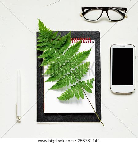 Busines Flat Lay Of Office Stuff On White Table. Notebook, Pencil. Glasses, Laptop, Fern. Square Ima