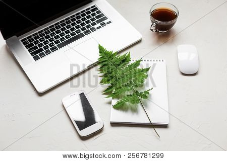 Busines Flat Lay Of Office Stuff On White Table. Notebook, Pencil. Glasses, Laptop, Fern
