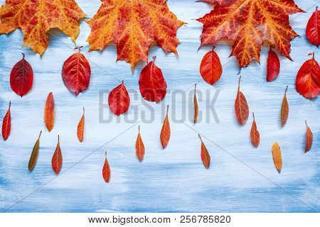 Colorful Fall Leaves Border With Blank Antique Rustic Teal Blue Wood Background, Autumn, Thanksgivin