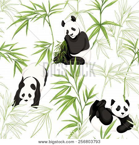 Seamless Pattern, Background. With Pandas And Bamboo.