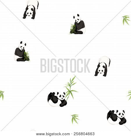 Seamless Pattern, Background. With Pandas And Bamboo.
