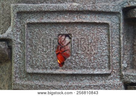 Burning Coals And Fire Through A Crack In The Cast Iron Lid Of The Furnace. Old Rusty Furnace Damper