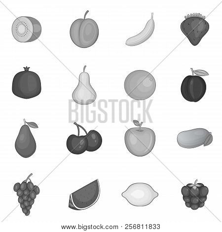 Fruit Icons Set In Monochrome Style Isolated On White Background
