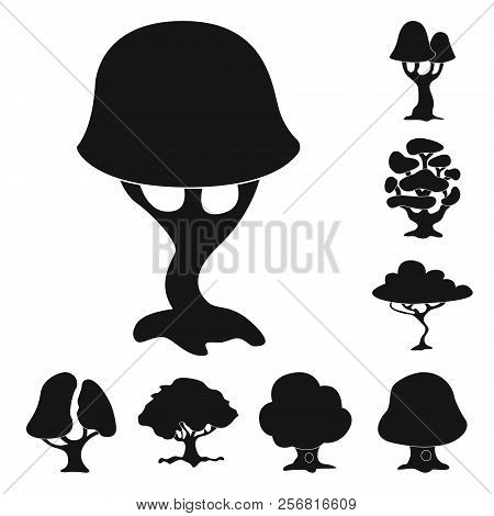 Vector Design Of Tree And Nature Sign. Set Of Tree And Crown Stock Vector Illustration.