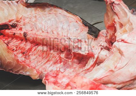 Pintado Fish Cutted In Half. Brazilian Pintado Fish, Leather Fish With Rounded Black Spots On The Bo