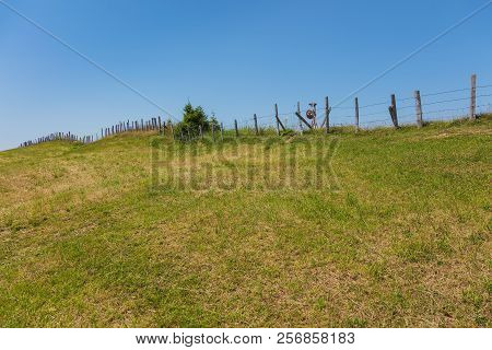 View On Mt. Rigi In Switzerland In Summer. The Rigi Is A Popular Tourist Destination, Accessible By 