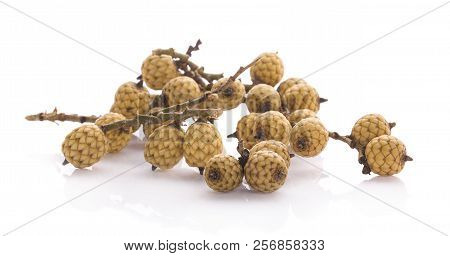 Rattan Palm Fruit Isolated On White Background