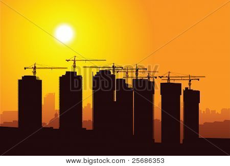 Vektorové siluetu jeřábů na sunset