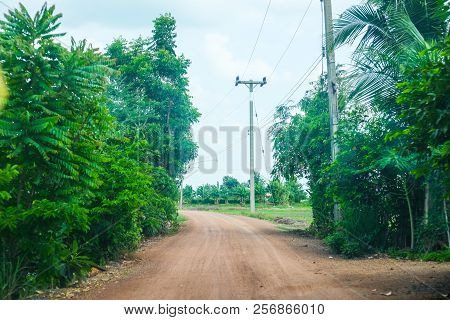 Countryside Road With Tree And Electric Pole In Thailand