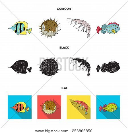 Shrimp, Fish, Hedgehog And Other Species.sea Animals Set Collection Icons In Cartoon, Black, Flat St
