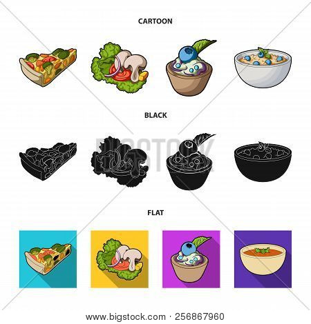 Piece Of Vegetarian Pizza With Tomatoes, Lettuce Leaves With Mushrooms, Blueberry Cake, Vegetarian S