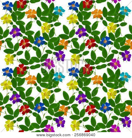 Briar, Wild Rose, Dog-rose. Texture Of Flowers. Seamless Pattern For Continuous Replicate. Floral Ba