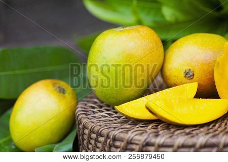 Close View, Goan Local Mankurad Mango, Goa, India