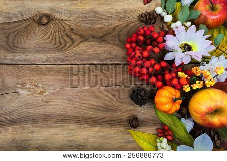 Thanksgiving Greeting With Small Pumpkin, Rowan, Copy Space