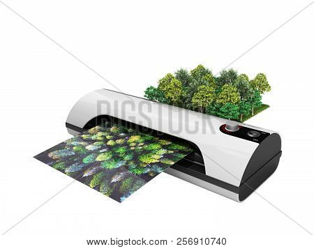 Modern High Resolution Wide Format Printing Concept The Real Forest Is Transformed Into An Image Pas