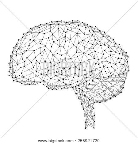 Brain Head Human Anatomical Body From Abstract Futuristic Polygonal Black Lines And Dots. Vector Ill
