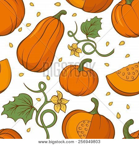 Vector Seamless Pattern With Hand Drawn Pumpkins. Hand Drawn.