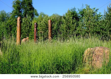 Three Wooden Idols Of The Slavic Gods. Three Wooden Idols Of Different Colors Of Ancient Slavs Stand