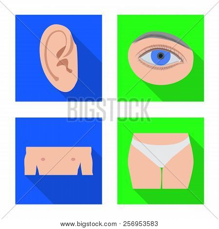 Vector Design Of Human And Part Symbol. Collection Of Human And Woman Vector Icon For Stock.