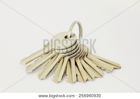 Bunch of ten metal keys on ring on white background.