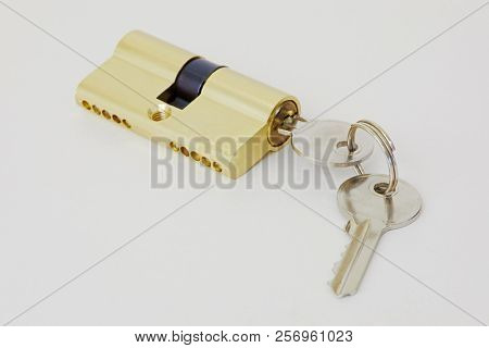 Internal pin tumbler lock and keys on white background.