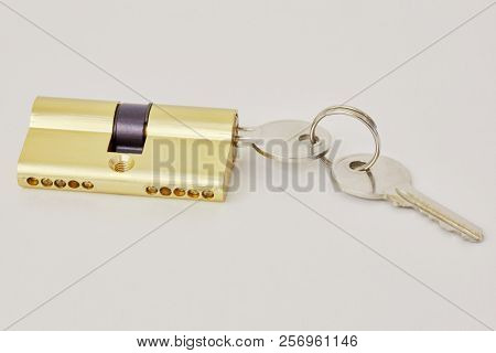 Pin tumbler lock internal mechanism and keys on white background.