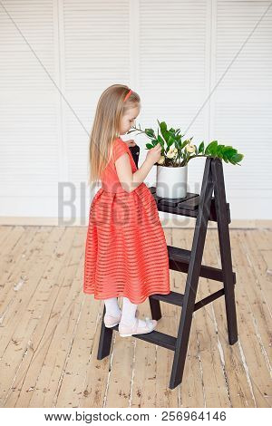 Young Little Blonde Girl Standing On Scaling-ladder Cares For Flowers