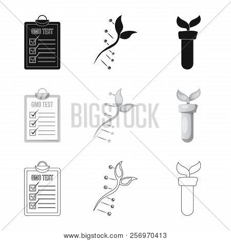 Isolated Object Of Genetic And Plant Sign. Collection Of Genetic And Biotechnology Vector Icon For S