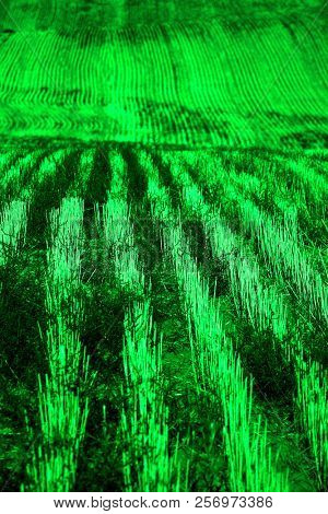 Rows and furrows on ploughed field for farming production agriculture products