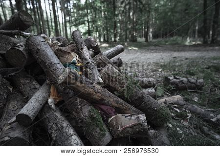 Sad Image With A Scarecrow Abandoned In The Woods, Buried Under A Pile Of Logs, In A Shadowed, Sinis