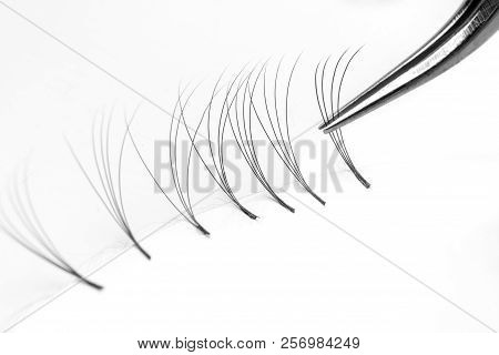 Set Eyelash Extension Tools White Isolated Background