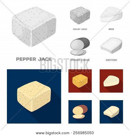 Brynza, Smoked, Colby Jack, Pepper Jack.different Types Of Cheese Set Collection Icons In Monochrome