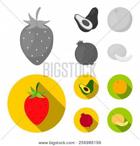 Strawberry, Berry, Avocado, Orange, Pomegranate.fruits Set Collection Icons In Monochrome, Flat Styl