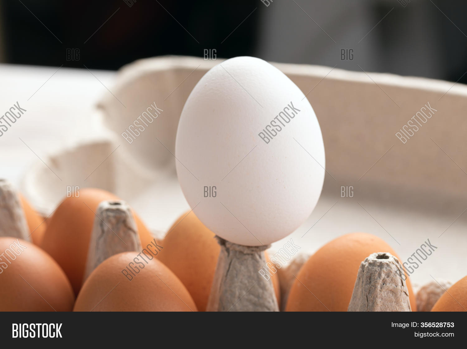 One White Egg Rises Image & Photo (Free Trial) Bigstock
