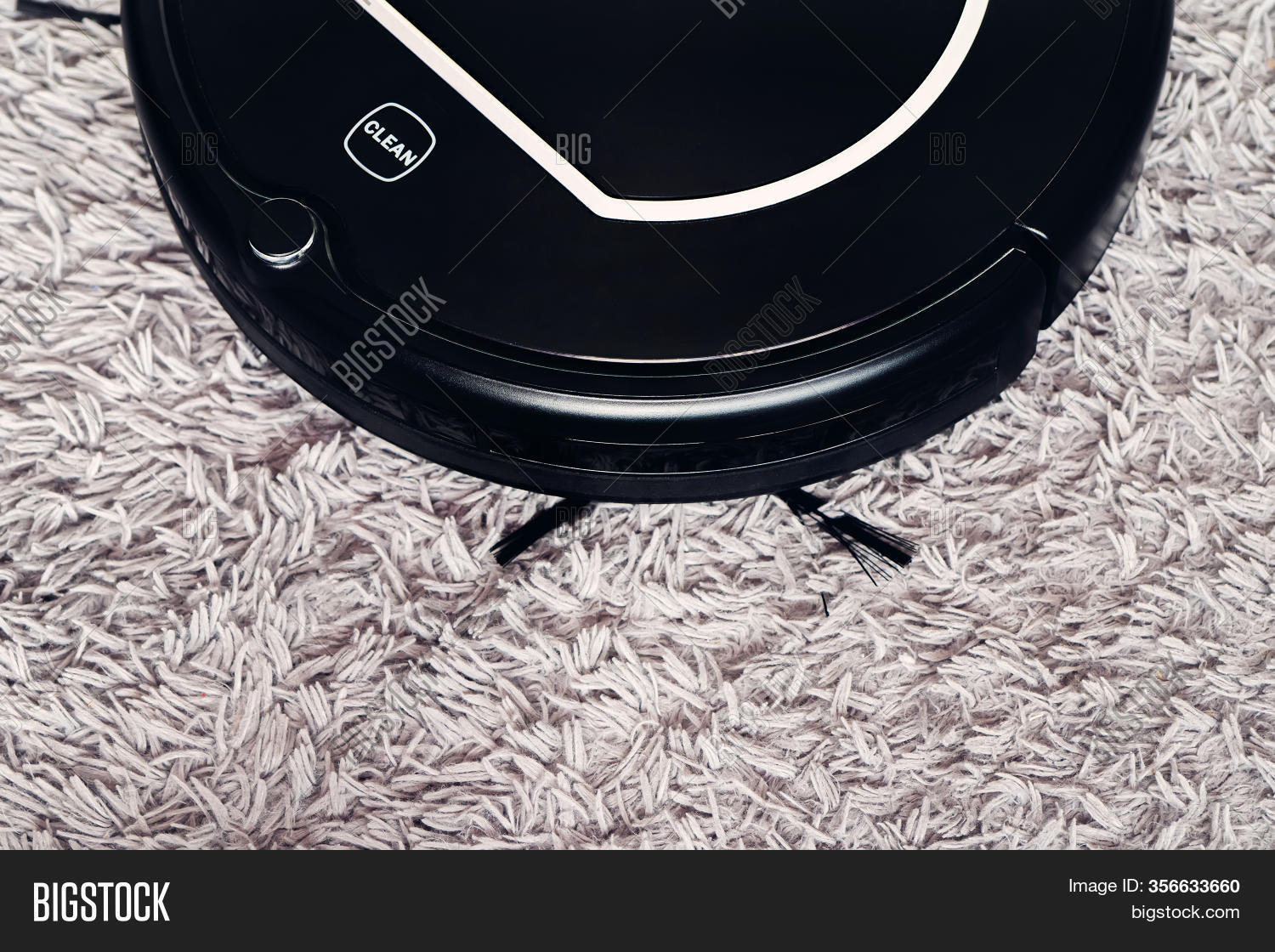 robot vacuum shag carpet