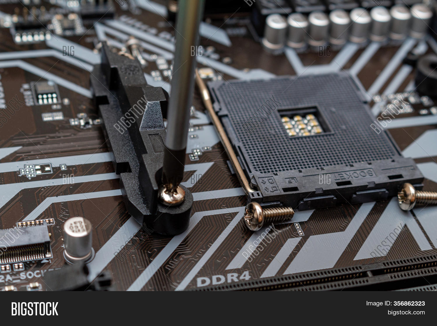 Installing New Clasp Image & Photo (Free Trial) | Bigstock